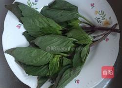 虾肉末九层塔香草茄子的做法图解3