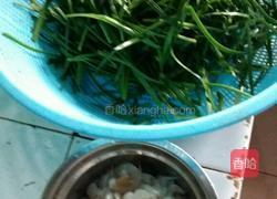 韭菜炒白米虾的做法图解1