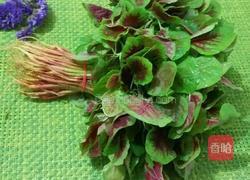 蒜末红米苋的做法图解1