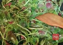 蒜末红米苋的做法图解5
