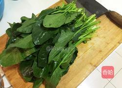 菠菜粉丝的做法图解1