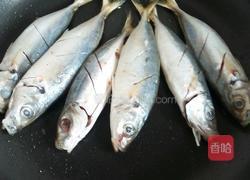 香煎体鱼的做法图解2