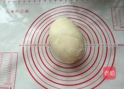 牛肉批萨的做法图解2