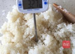 醪糟的做法图解4