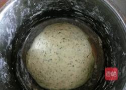 桑叶馒头的做法图解2