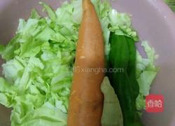 素味锅贴的做法图解1