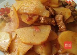 土豆烧肉的做法图解5