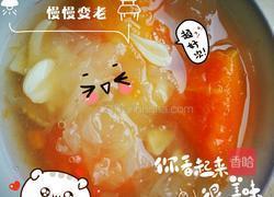 木瓜银耳羹的做法图解6