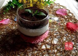 盘栽酸梅冻的做法图解6