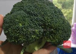 蒜蓉西兰花的做法图解1