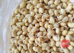 豆嘴炒菠菜的做法图解1