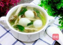 菌菇鹌鹑汤的做法图解9