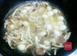 菌菇鹌鹑汤的做法图解6