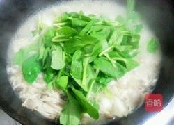 菌菇鹌鹑汤的做法图解7