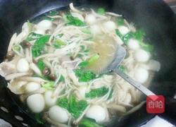 菌菇鹌鹑汤的做法图解8