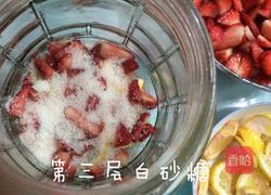 自制草莓酵素的做法图解4
