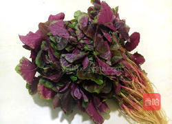 蒜香苋菜的做法图解1