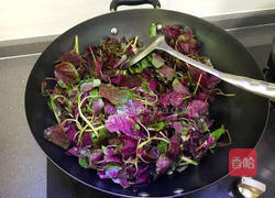 蒜香苋菜的做法图解5