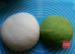 翡翠白菜水饺的做法图解8