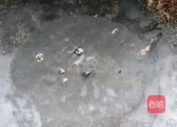 香芹爆牛肚的做法图解2