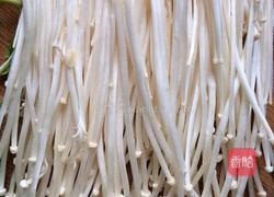金针菇粉丝拌菠菜的做法图解4