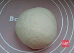 鲜玫瑰花饼的做法图解7