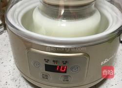 自制酸奶的做法图解6