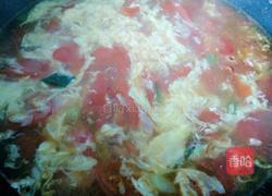 蕃茄鸡蛋汤的做法图解9