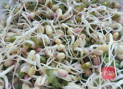 手把手教你泡发可乐绿豆芽的做法图解10