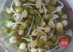 手把手教你泡发可乐绿豆芽的做法图解8