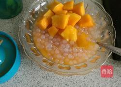 芒果西米露的做法图解3