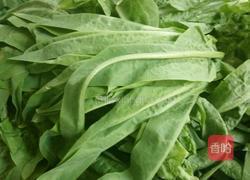 窝苣叶摊鸡蛋的做法图解1