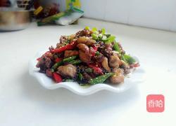 辣子鸡的做法图解18