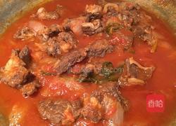 番茄香焖牛腩的做法图解9