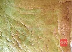 抹茶蜜豆蛋糕卷的做法图解12