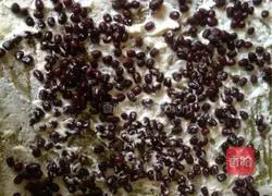 Matcha Honey Bean Cake Roll Recipe Illustration 13