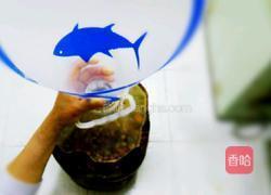 酵素的做法图解4