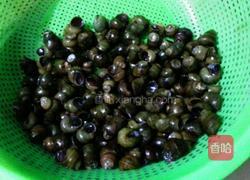 爆炒螺丝的做法图解2