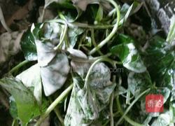 地瓜叶米果的做法图解2