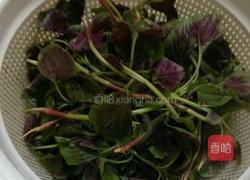 蒜香苋菜的做法图解1