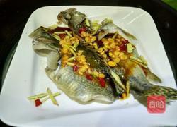 清蒸桂花鱼的做法图解4