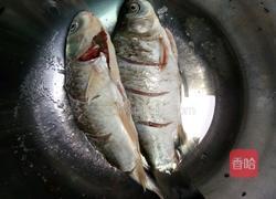 鲫鱼冬瓜汤的做法图解1