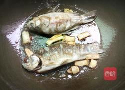 鲫鱼冬瓜汤的做法图解5