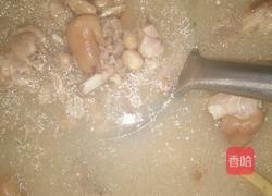 花生炖猪蹄的做法图解4