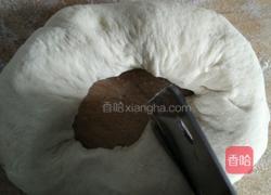 茴香鸡蛋馅包子的做法图解7