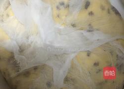 玉米红枣蜂蜜膏的做法图解5