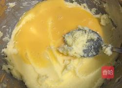 蔓越莓饼干简易版的做法图解4