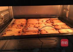 蔓越莓饼干简易版的做法图解9