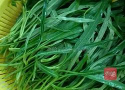 炒空心菜的做法图解1