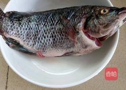 红烧罗非鱼的做法图解1